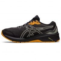 Кросівки для бігу чоловічі Asics GT-1000 11 GTX Black/Ink Teal